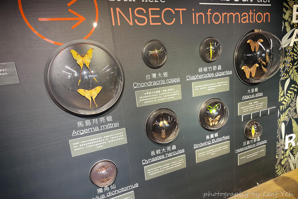 自然圈農場,自然圈農場價格,自然圈評價,自然圈農場露營費用,自然圈農場房型價格,自然圈農場dcard,苗栗露營,苗栗露營區推薦,來吧營業中露營區,自然圈價格,卓蘭懶人露營,苗栗懶人露營,懶人露營推薦,豪華露營推薦,輕奢露營推薦 自然圈農場,自然圈農場價格,自然圈評價,自然圈農場露營費用,自然圈農場房型價格,自然圈農場dcard,苗栗露營,苗栗露營區推薦,來吧營業中露營區,自然圈價格,卓蘭懶人露營,苗栗懶人露營,懶人露營推薦,豪華露營推薦,輕奢露營推薦