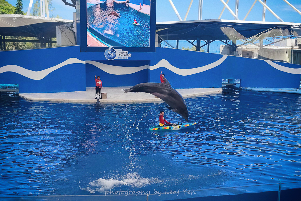 遠雄海洋公園,遠雄海洋公園住宿,遠雄海洋公園表演時間,遠雄海洋公園美人魚,遠雄海洋公園攻略,遠雄悅來,花蓮海洋公園,花蓮景點推薦,花蓮兩天一夜小旅行,遠雄海洋公園停留時間,花蓮三天兩夜,花蓮壽豐景點