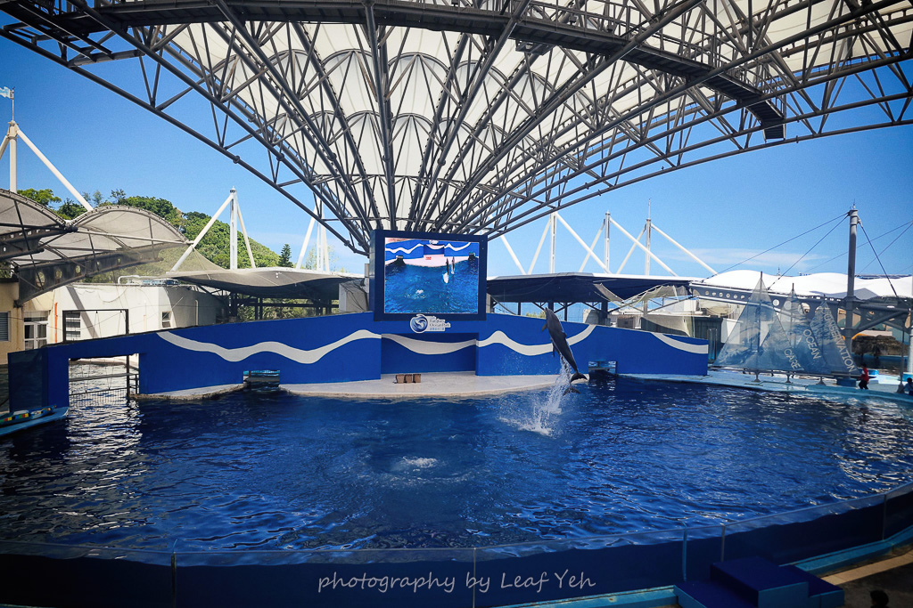 遠雄海洋公園,遠雄海洋公園住宿,遠雄海洋公園表演時間,遠雄海洋公園美人魚,遠雄海洋公園攻略,遠雄悅來,花蓮海洋公園,花蓮景點推薦,花蓮兩天一夜小旅行,遠雄海洋公園停留時間,花蓮三天兩夜,花蓮壽豐景點