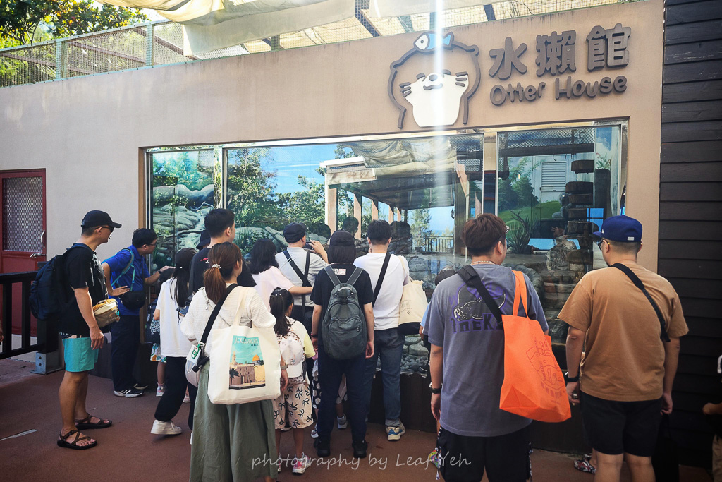 遠雄海洋公園,遠雄海洋公園住宿,遠雄海洋公園表演時間,遠雄海洋公園美人魚,遠雄海洋公園攻略,遠雄悅來,花蓮海洋公園,花蓮景點推薦,花蓮兩天一夜小旅行,遠雄海洋公園停留時間,花蓮三天兩夜,花蓮壽豐景點